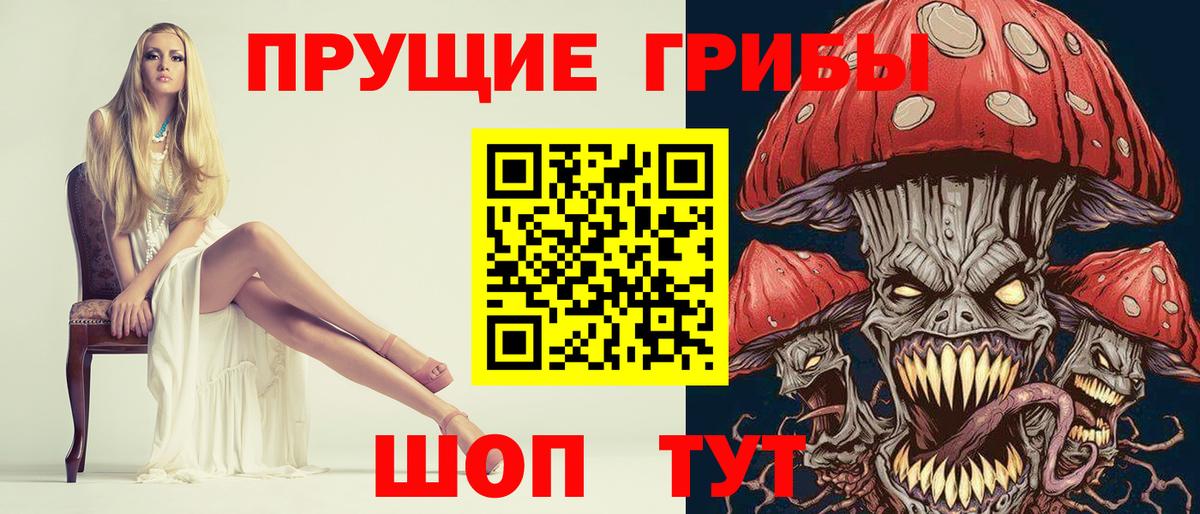Норильск  Псилоцибиновые грибы прущие грибы  Вход с VPN 